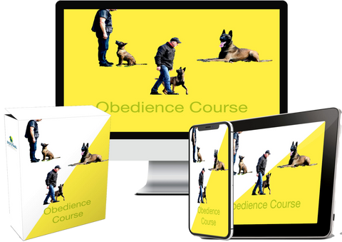 Online Obedience Course