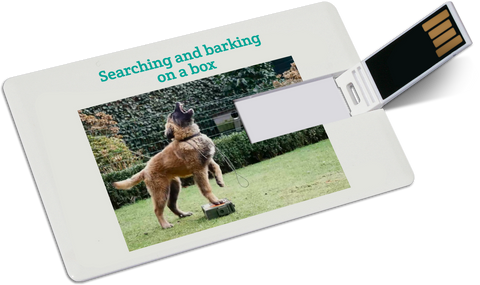 Instructional video: Barking on the box
