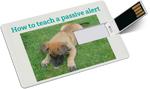Instructional video: How to teach a dog a passive alert