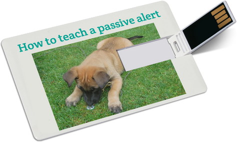 Instructional video: How to teach a dog a passive alert