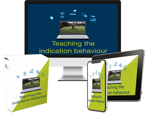 Online Course Teach the Indication Behaviour