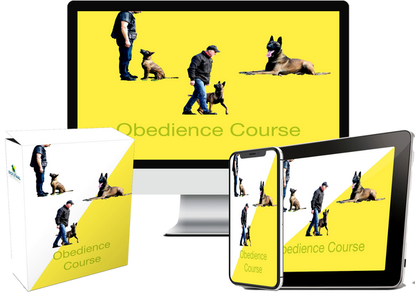 Obedience course shop