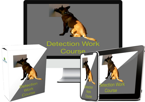 Online Course Detection Work